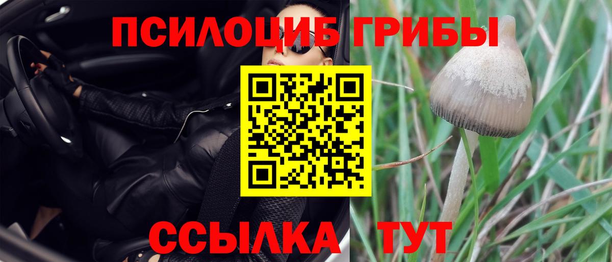 Псилоцибиновые грибы MAGIC MUSHROOMS  Вход с VPN  Вичуга 